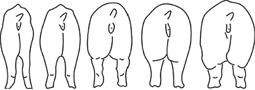 figure1
