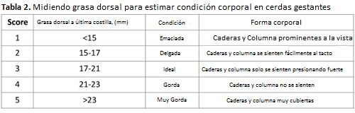 table2